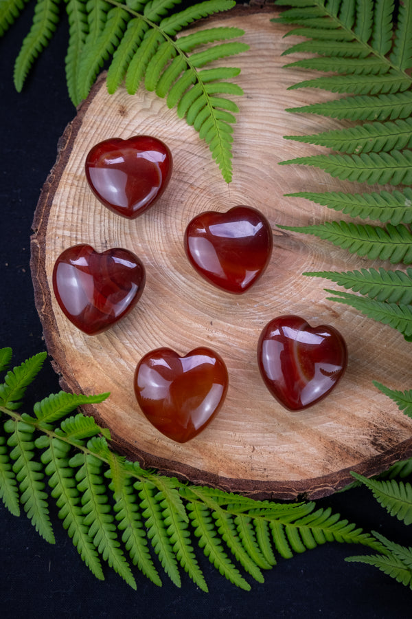 Red Agate crystal hearts, Crystal for confidence, self belief and empowerment, stress relief, calm and anti anxiety.