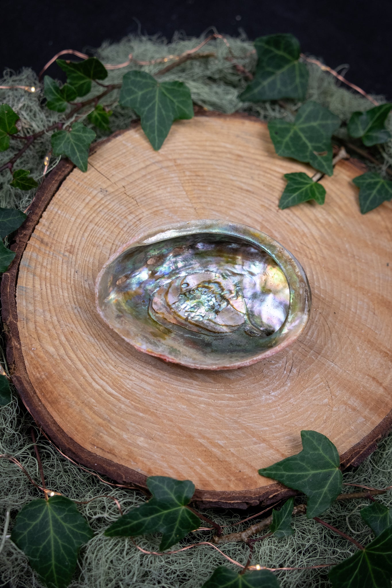 Abalone Shell, Ethically sourced Abalone shell from Mexico, Ritual smudge holder, Smudge kit, Sage holder.