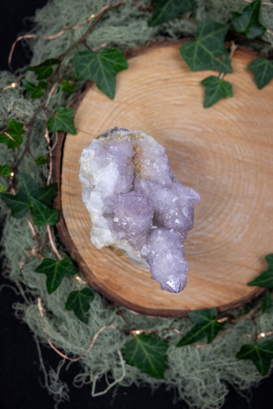 Spirit Quartz Cluster on Matrix, Cactus Quartz Crystal Stone for Unity and Spiritual Growth, South Africa