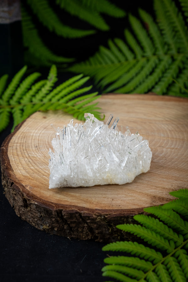 Lemurian Needle Quartz Cluster, Colombian Needle Quartz, Cosmic crystal, Starseed energy, rare crystal, A+ grade