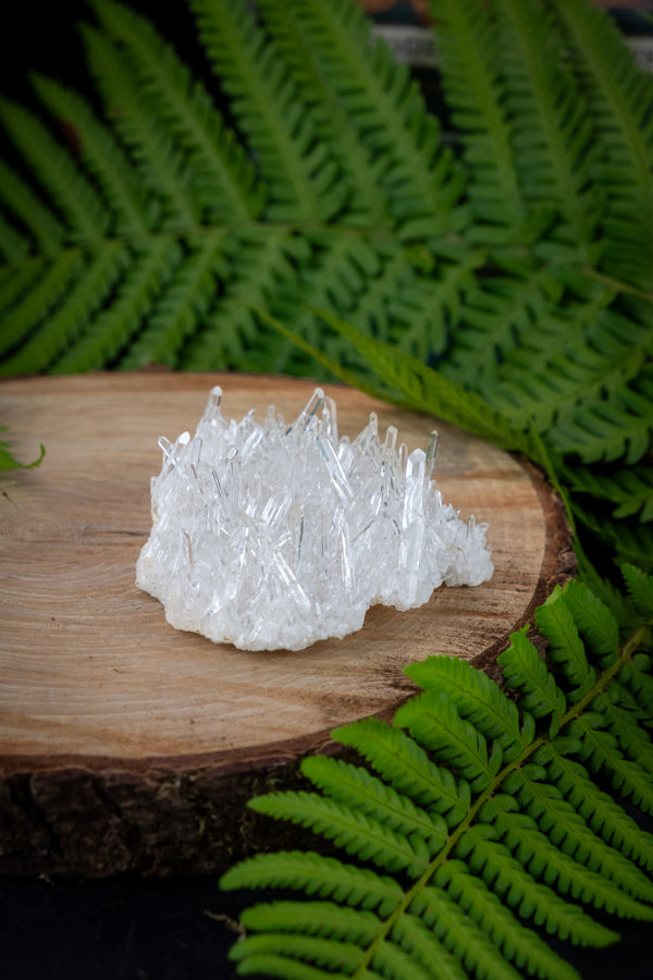 Lemurian Needle Quartz Cluster, Colombian Needle Quartz, Cosmic crystal, Starseed energy, rare crystal, A+ grade