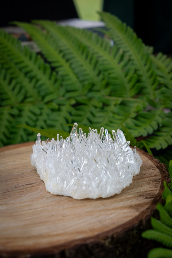 Lemurian Needle Quartz Cluster, Colombian Needle Quartz, Cosmic crystal, Starseed energy, rare crystal, A+ grade