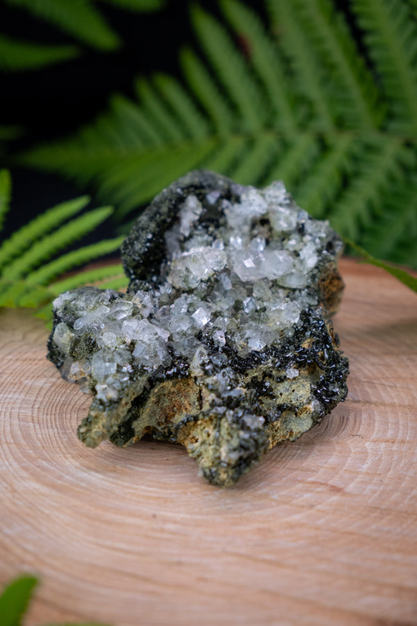 Forest Epidote Quartz Crystal, Rare Crystal.