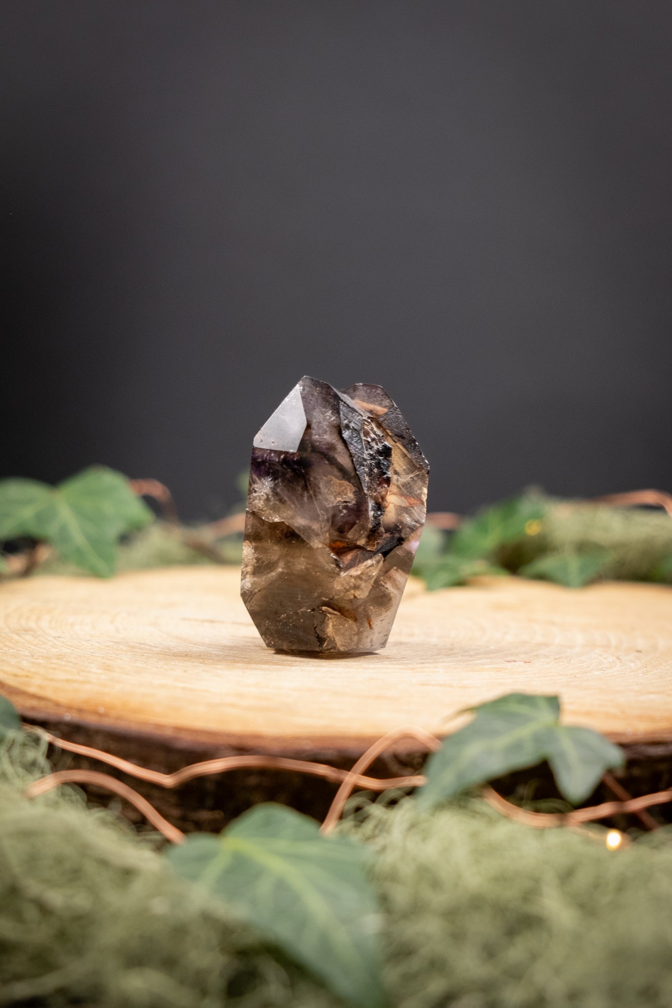Smokey Quartz and Amethyst Elestial Point