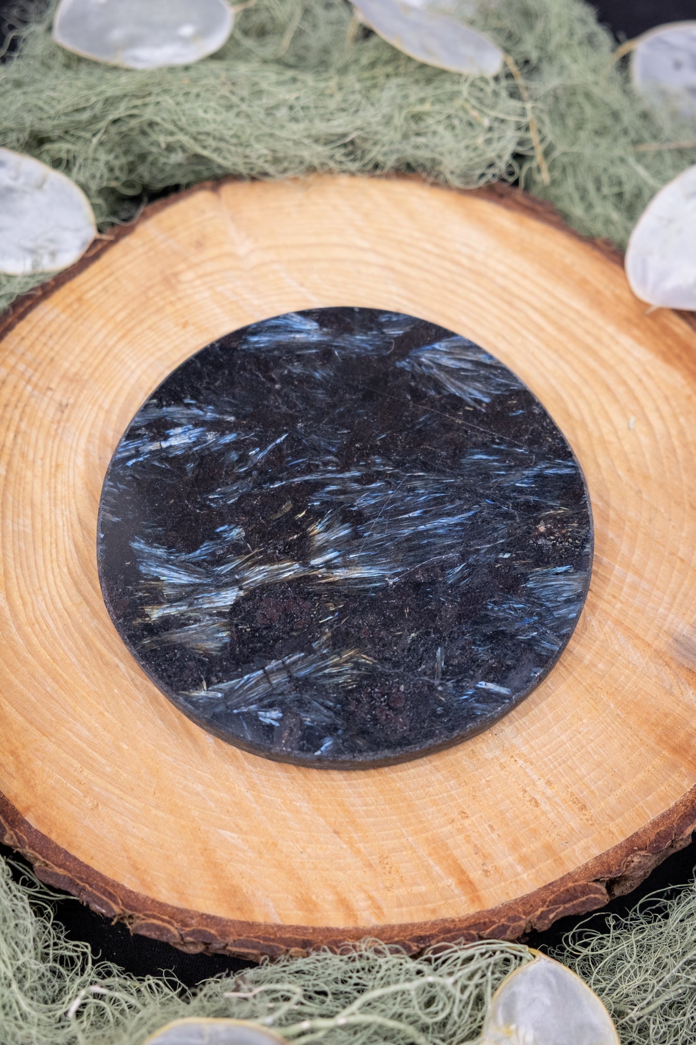 Astrophyllite Disc
