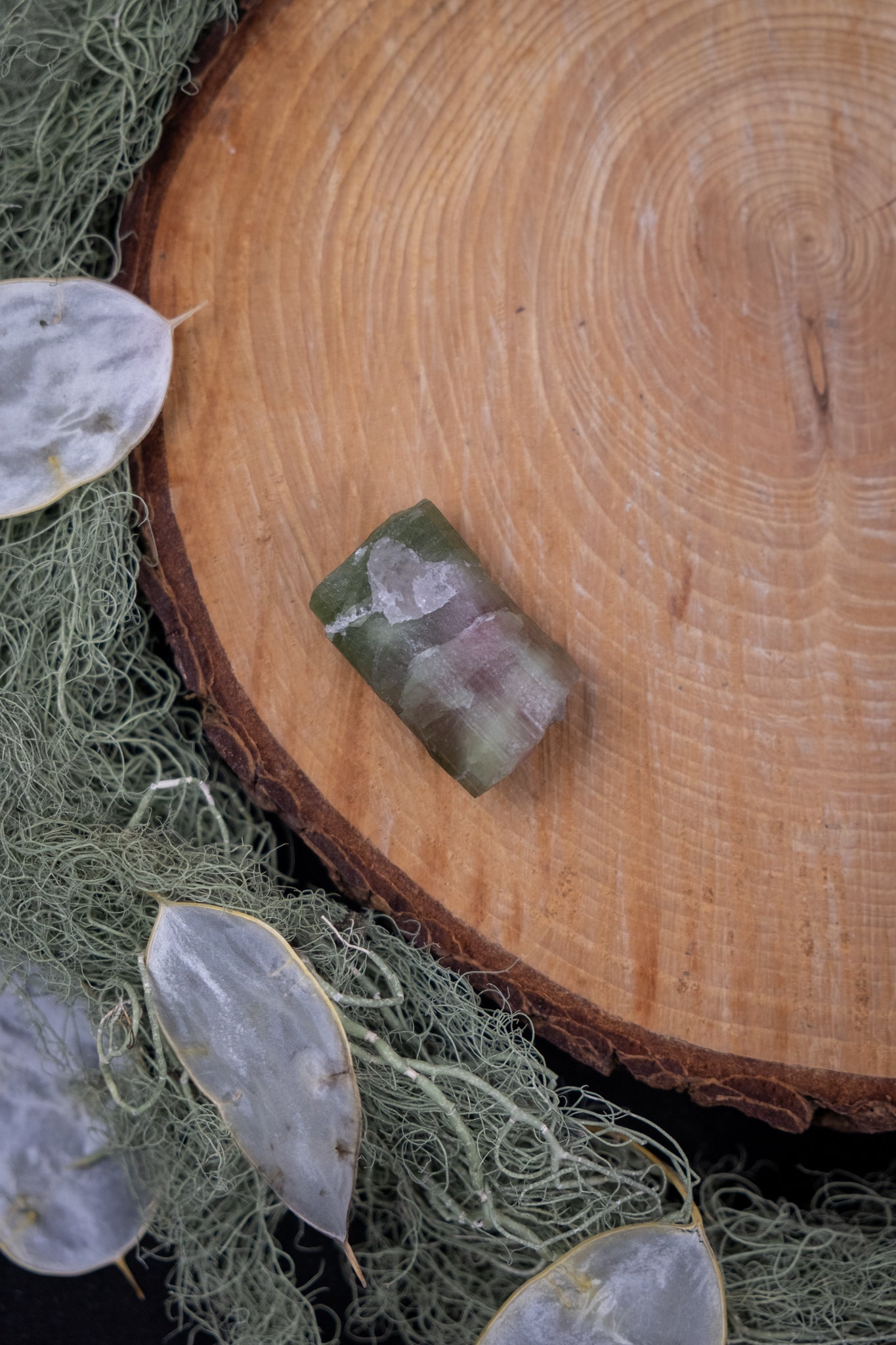 Watermelon Tourmaline Crystal Section