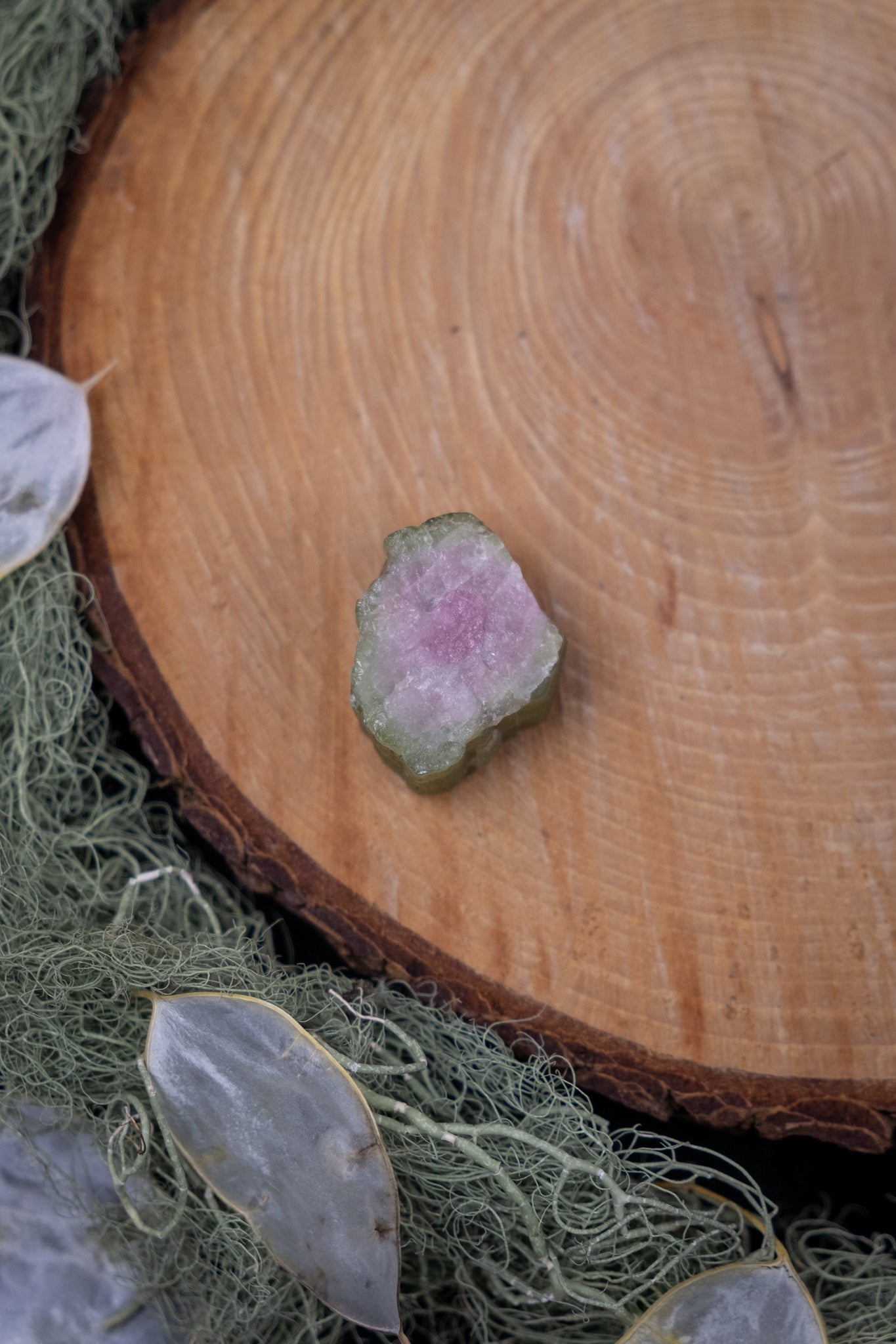 Watermelon Tourmaline Raw Slice