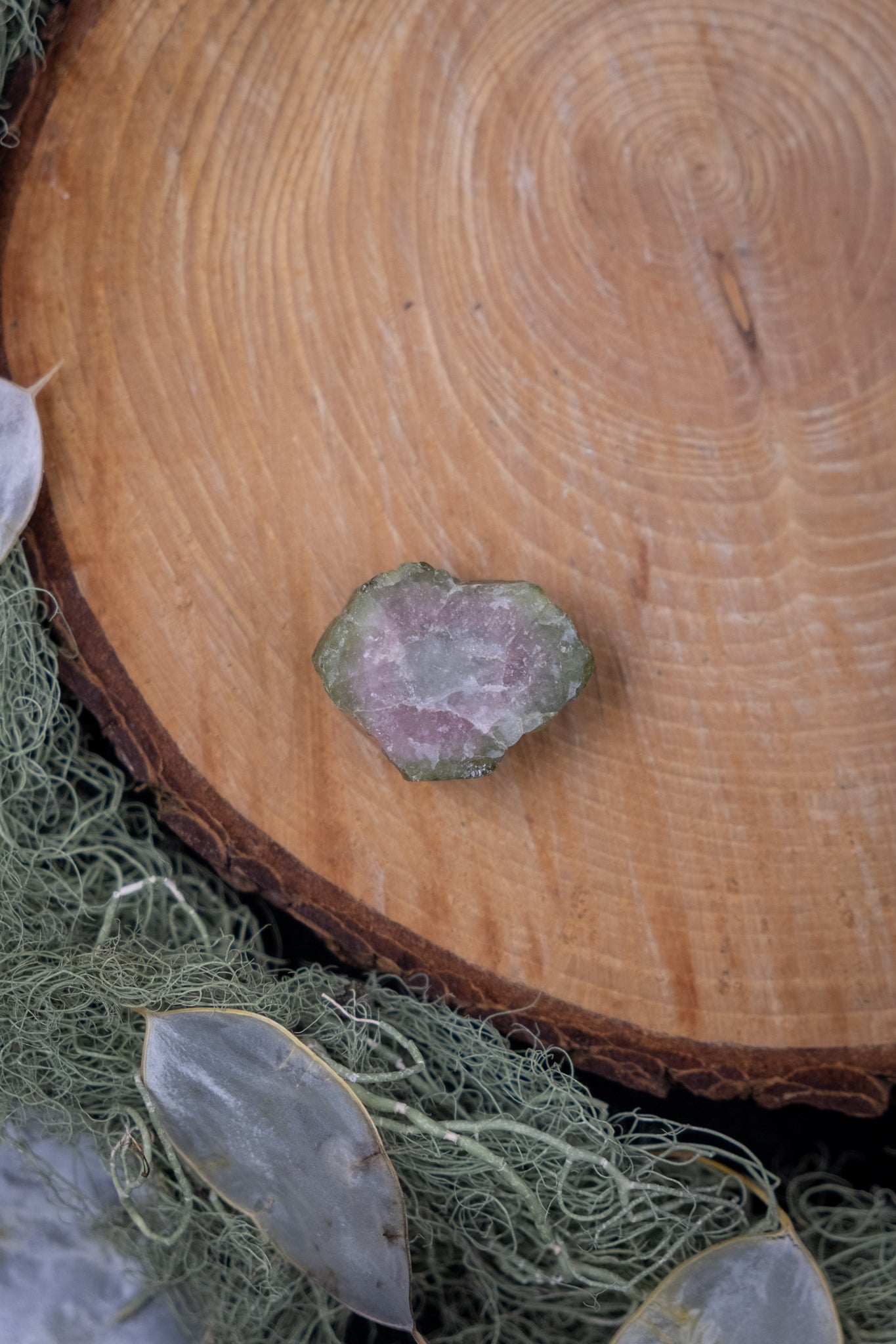 Watermelon Tourmaline Raw Slice