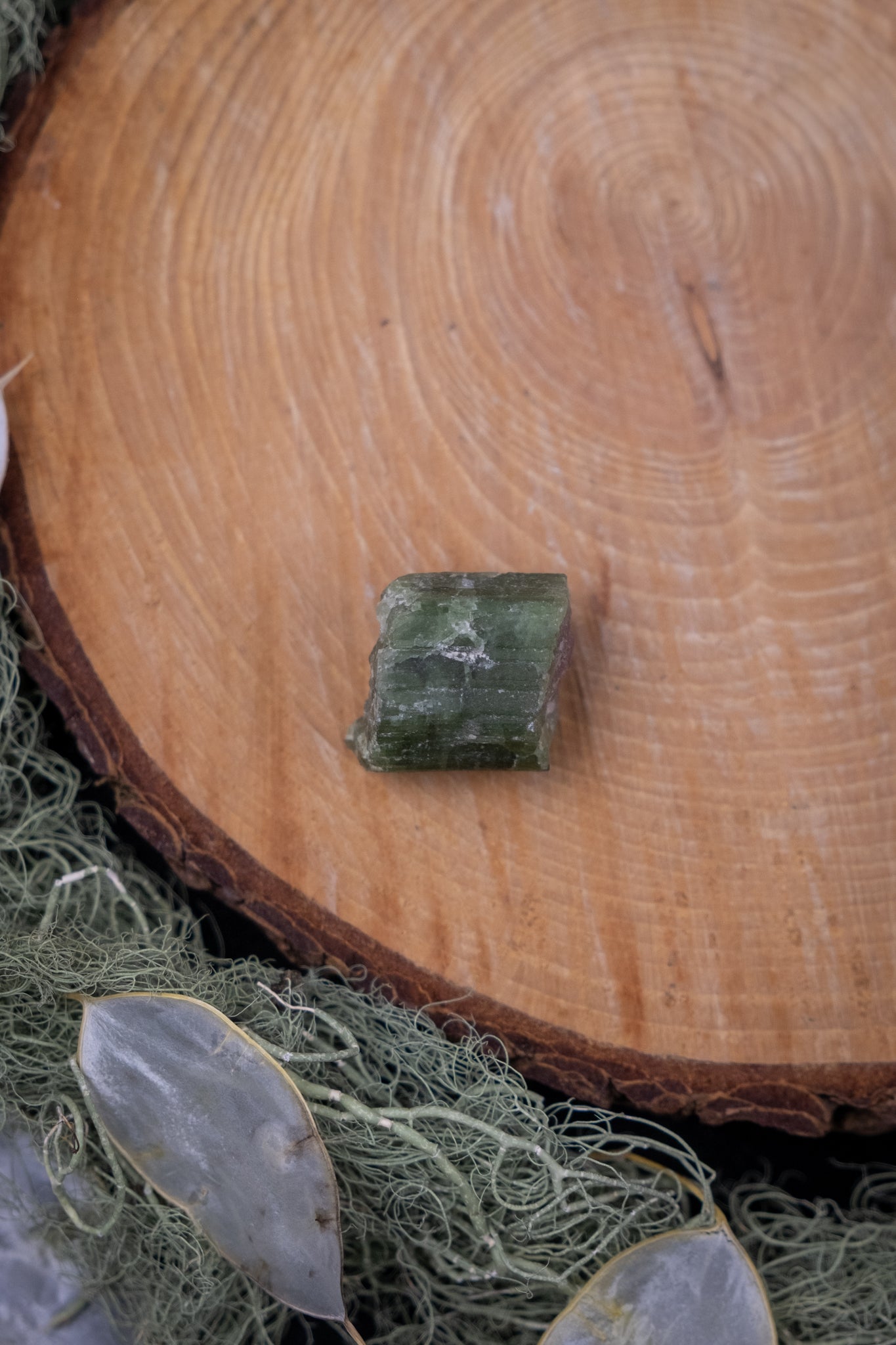 Watermelon Tourmaline Raw Crystal