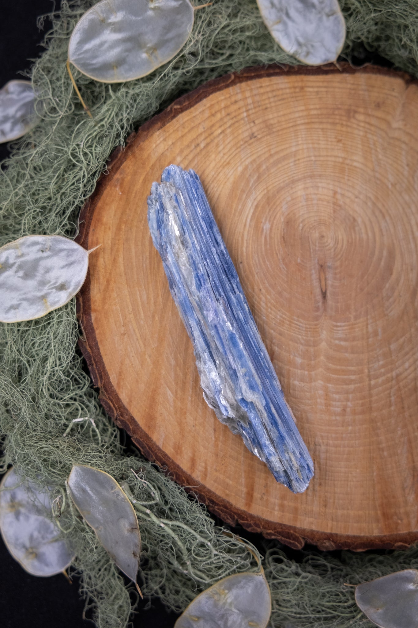 Blue Kyanite Wand