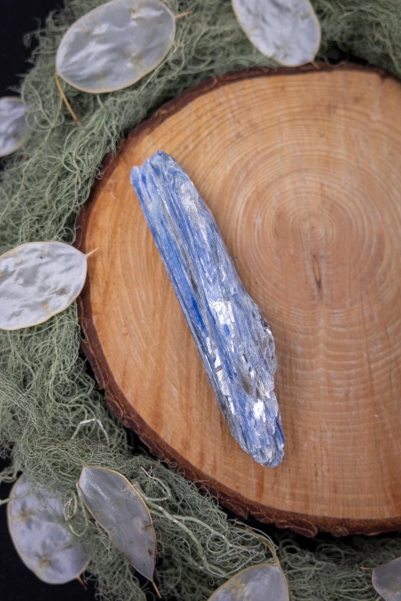 Blue Kyanite Wand