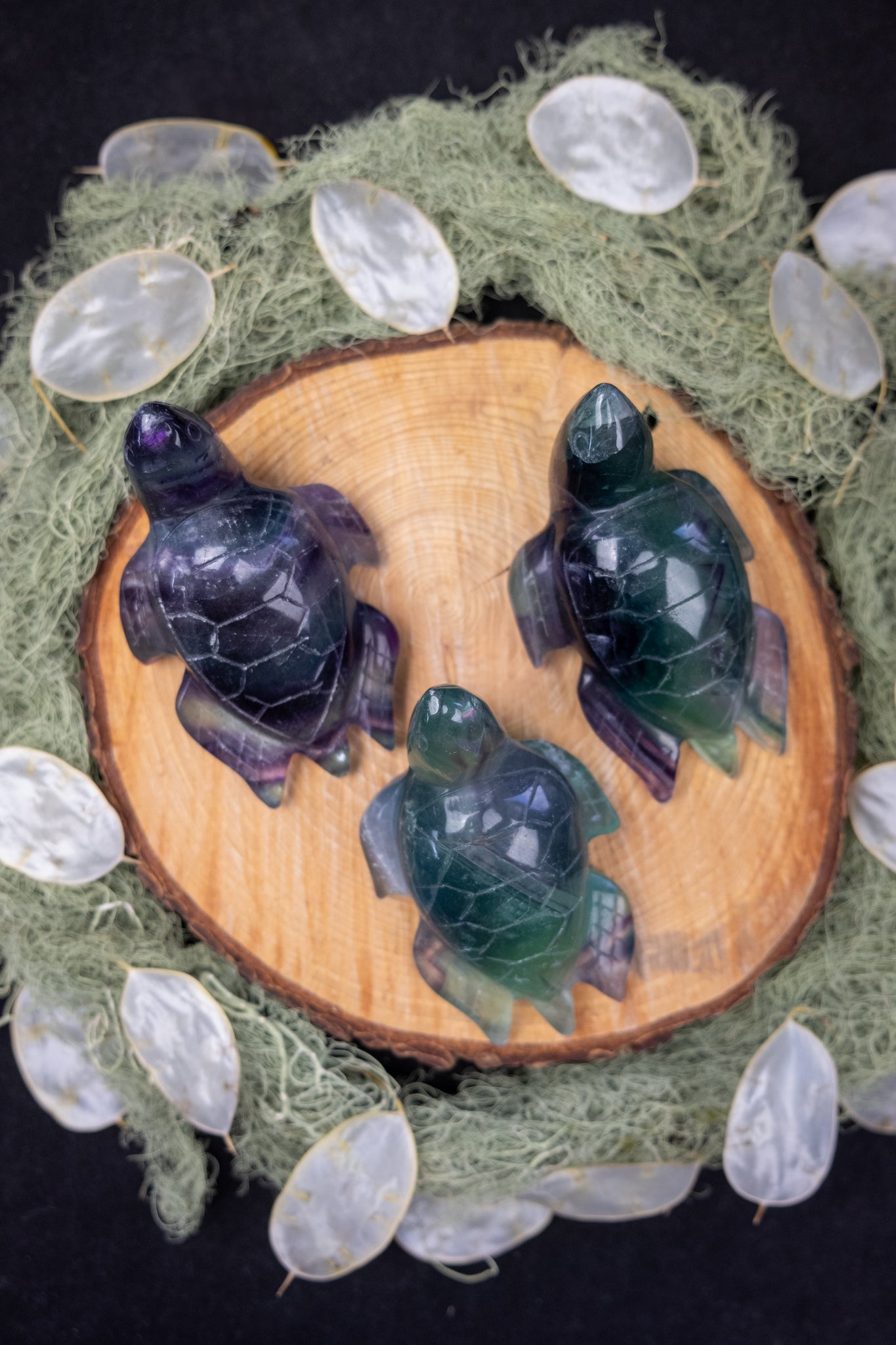 Fluorite Sea Turtle Carving, Hand Carved Fluorite Crystal Turtle, Protection and Flow Stone, Ethically Sourced China