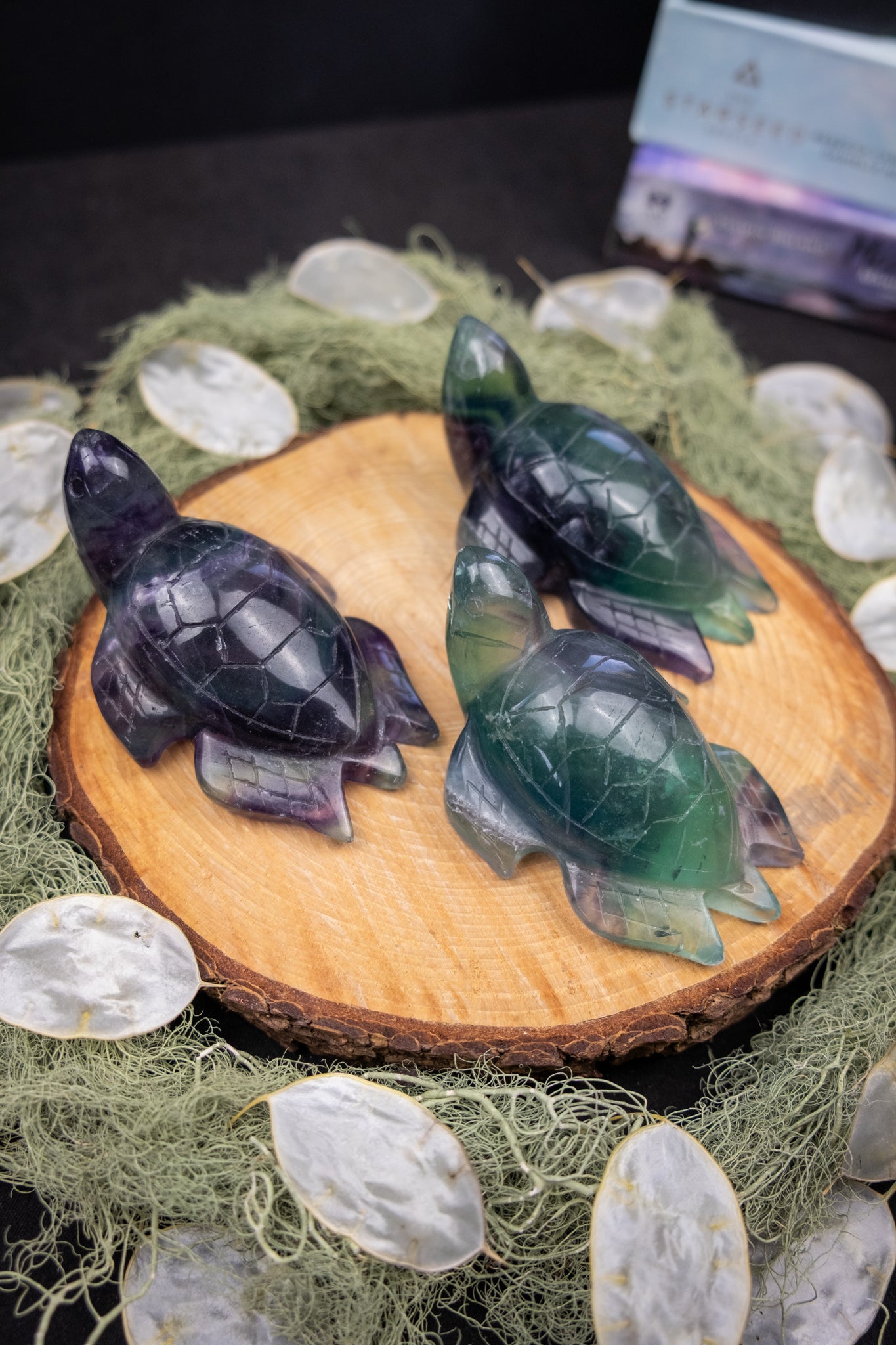 Fluorite Sea Turtle Carving, Hand Carved Fluorite Crystal Turtle, Protection and Flow Stone, Ethically Sourced China