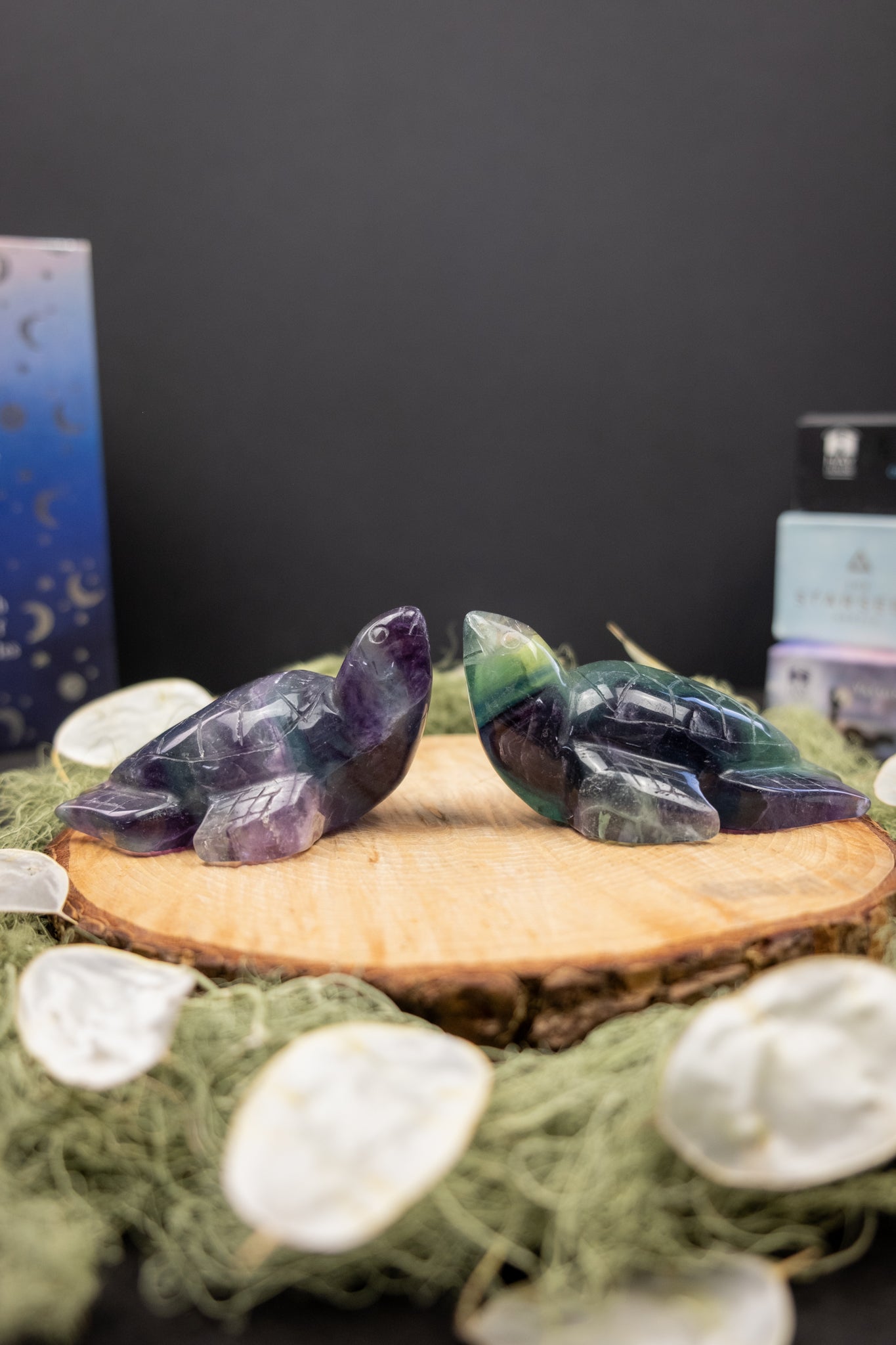 Fluorite Sea Turtle Carving, Hand Carved Fluorite Crystal Turtle, Protection and Flow Stone, Ethically Sourced China