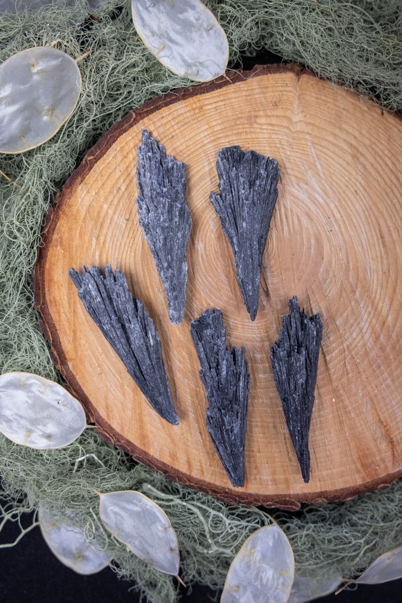 Black Kyanite Fan