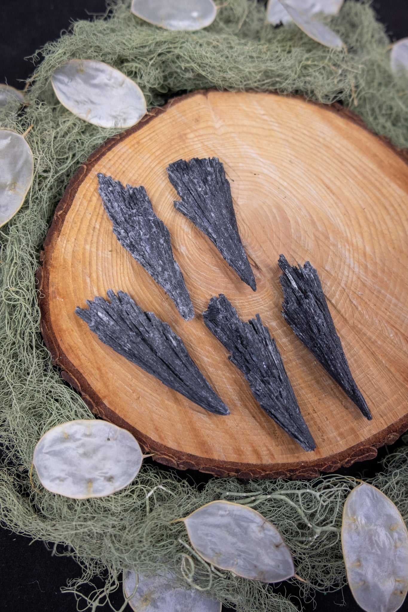 Black Kyanite Fan
