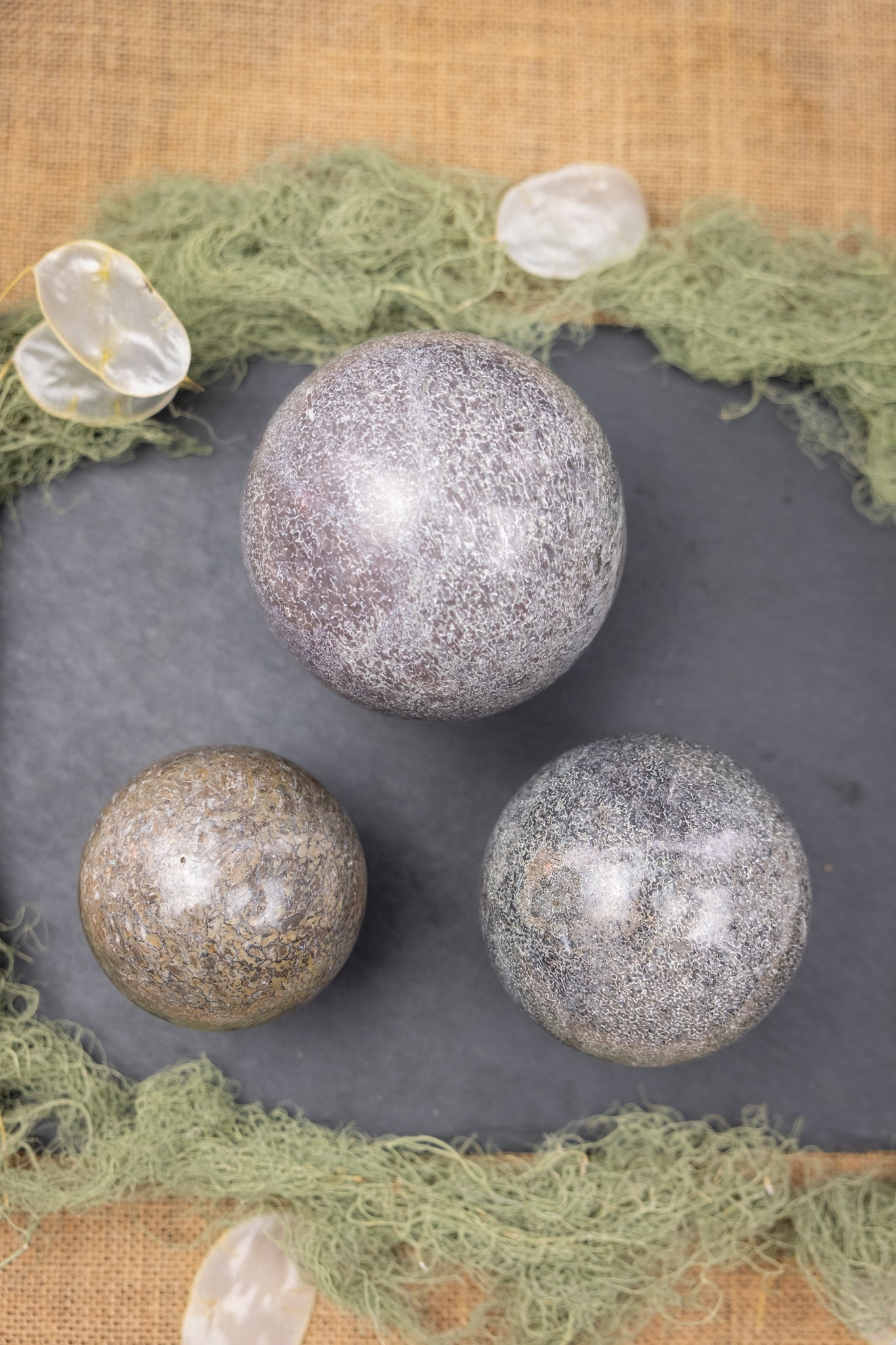 Atlasaurus Dinosaur Bone Sphere