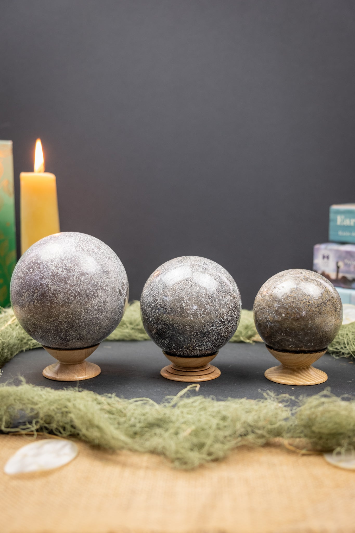 Atlasaurus Dinosaur Bone Sphere