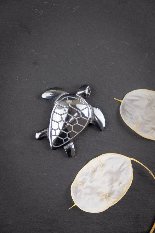 Hematite Turtle