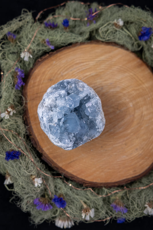 Celestite Geode