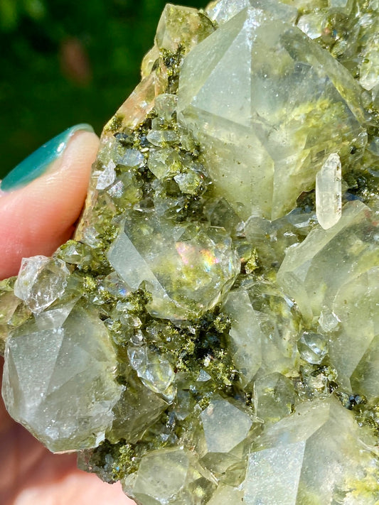 Forest Epidote Quartz Crystal with rainbow.