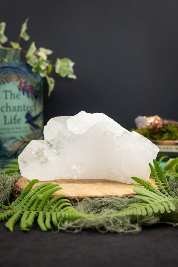 Michelle - Private Order - 1.7.2 5