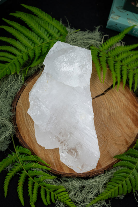 Michelle - Private Order - 1.7.2 5