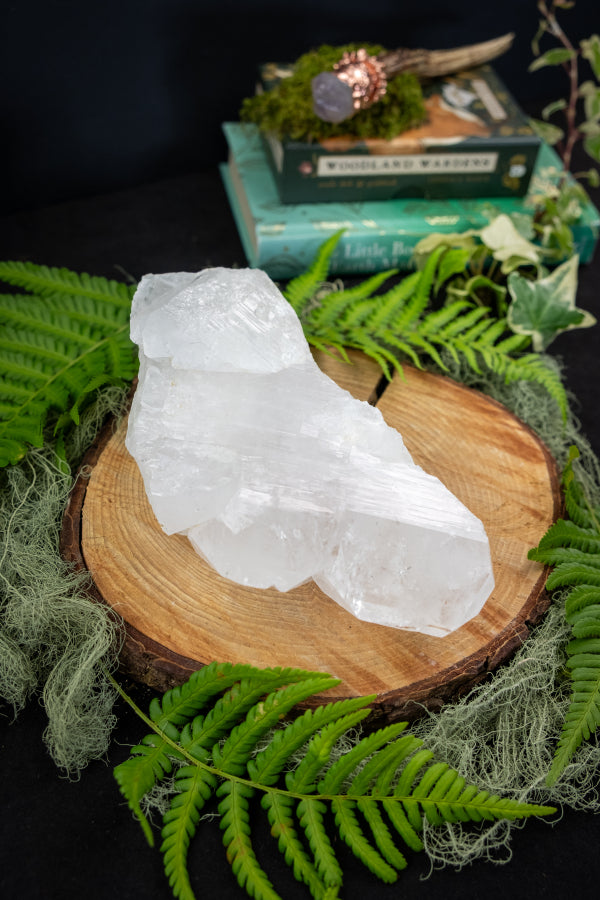 Michelle - Private Order - 1.7.2 5