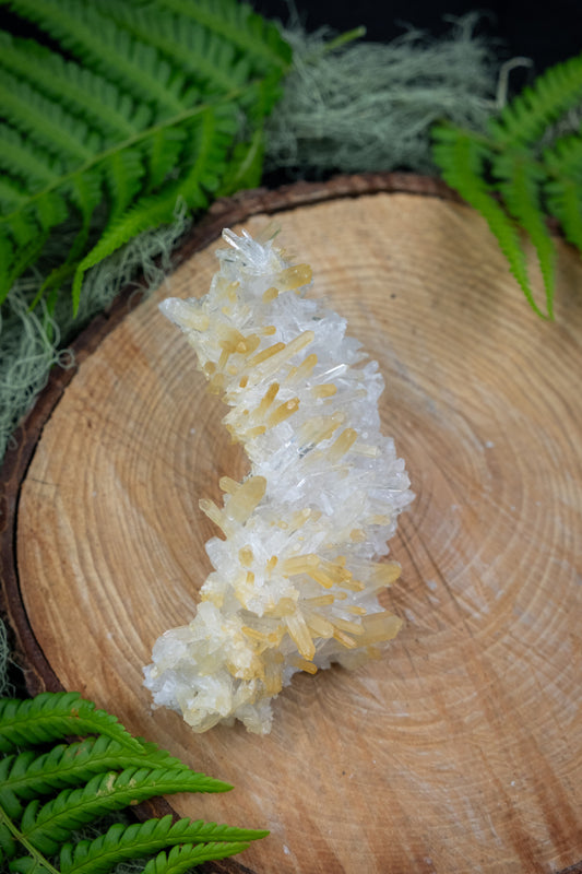 Lemurian Golden Healer Needle Quartz, Colombian Needle Quartz