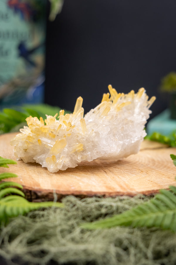 Lemurian Golden Healer Needle Quartz, Colombian Needle Quartz