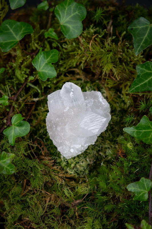 Apophyllite Crystal Mini Cluster, Purify and Cleanse, Absorbs Negative Energy, Harmonise Body, Mind & Soul, Promotes Peace.