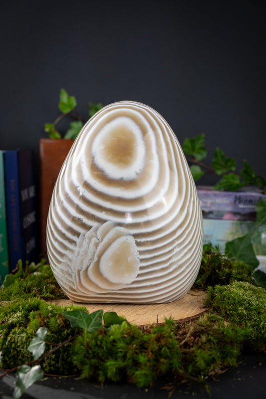 Zebra Jasper Polished Freeform Crystal Stone, Brown and White Zebra Jasper for Grounding Balance and Emotional Stability