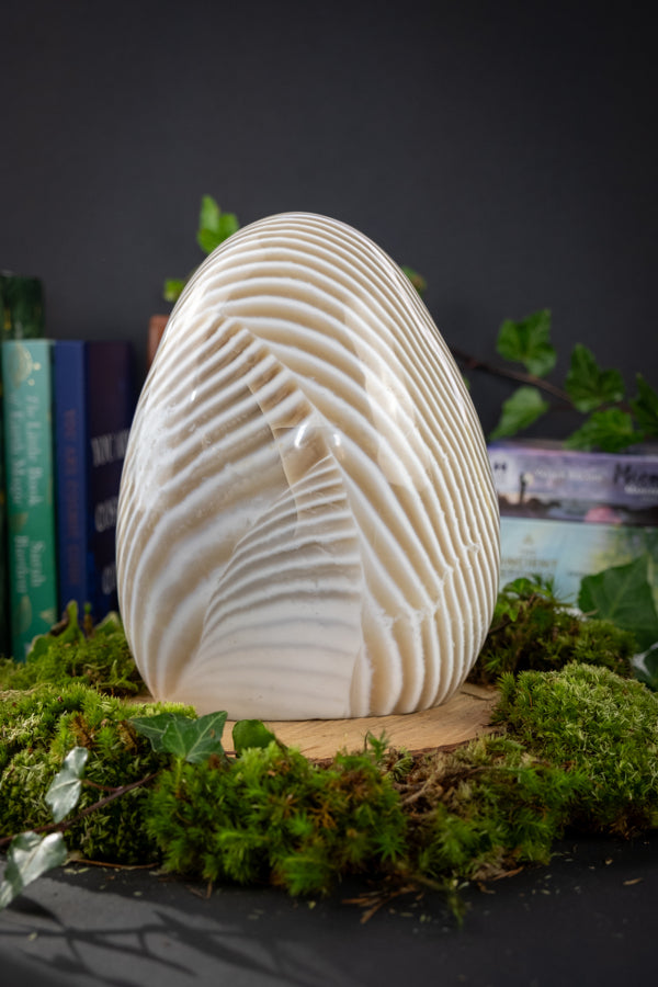 Zebra Jasper Polished Freeform Crystal Stone, Brown and White Zebra Jasper for Grounding Balance and Emotional Stability