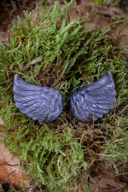 Silver Sheen Obsidian Angel Wing Pair, Crystal for Protection, Grounding crystal, Crystal for communication, Shamanic crystal.