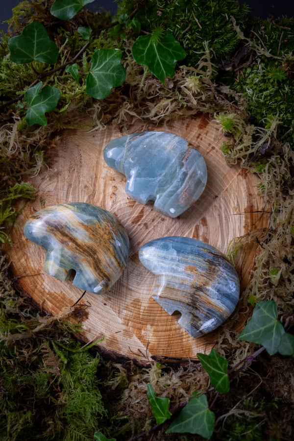 Lemurian Aquatine Calcite Totem Bear, Soothes the nervous system, Heal the energy system, Calming crystal.