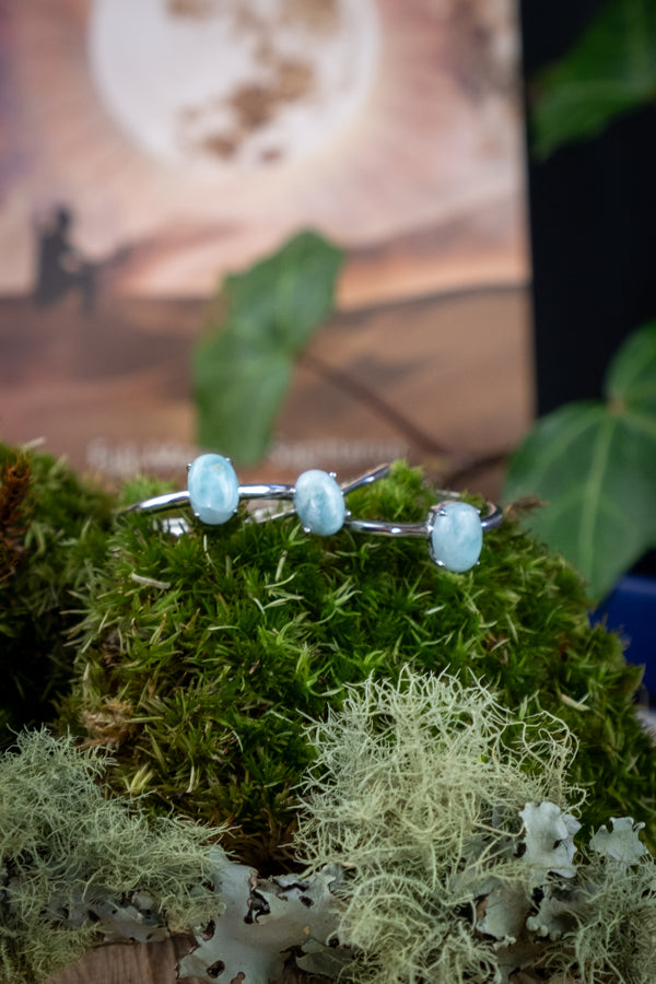 Larimar Sterling Silver Adjustable Ring