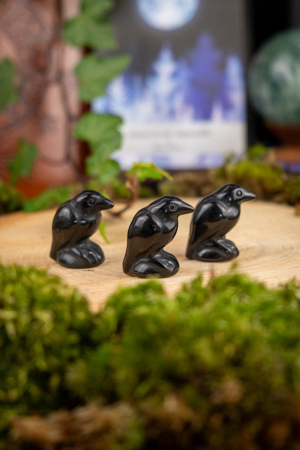 Obsidian Crow Carving, Protective Crystal Bird, Grounding Gemstone for Energy Shielding & Spiritual Wisdom, Root Chakra Stone Decor