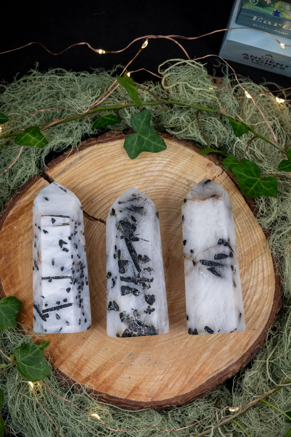 Tourmaline in Quartz Crystal Points, Rutilated crystal, EMF protection, Protection crystal, Protect against negativity, Grounding crystal