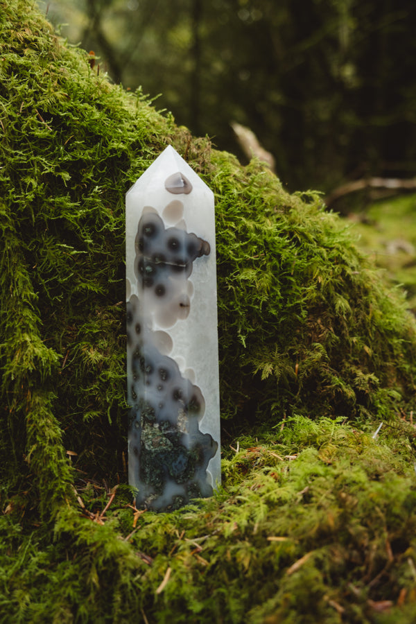 Moss Agate and Quartz crystal point, Rare find.