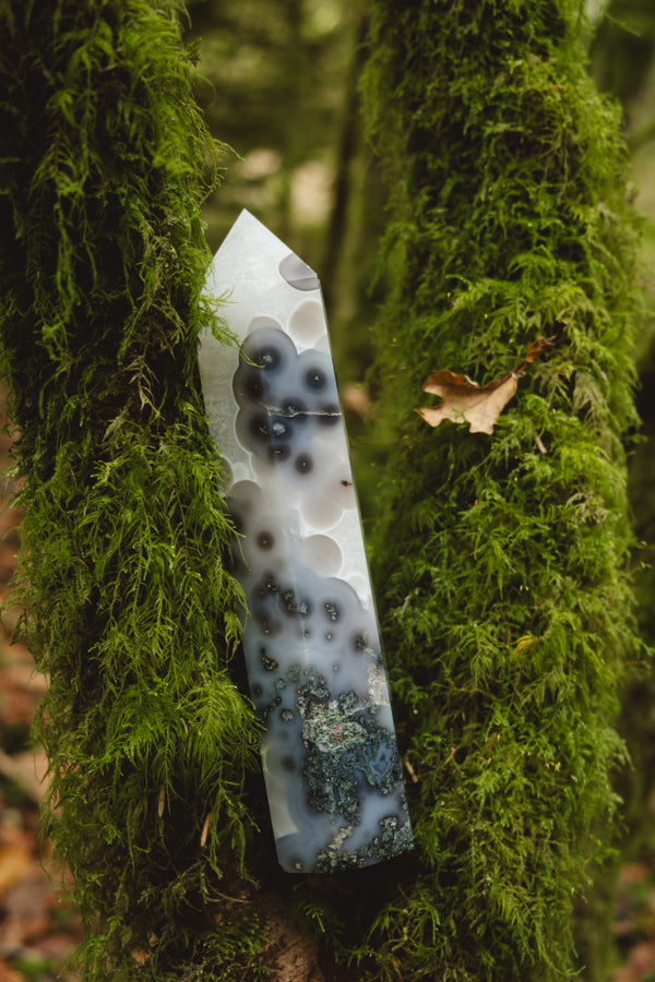 Moss Agate and Quartz crystal point, Rare find.