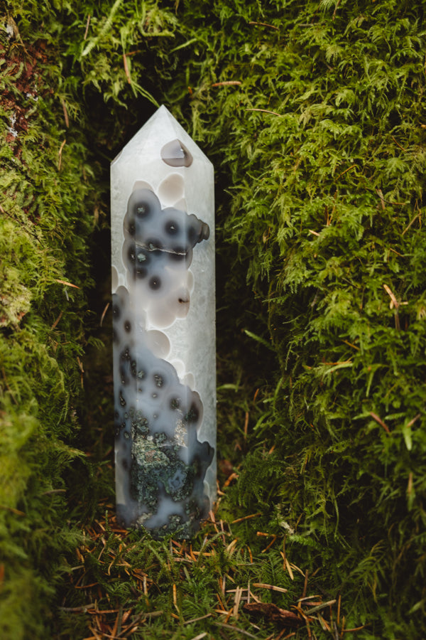 Moss Agate and Quartz crystal point, Rare find.