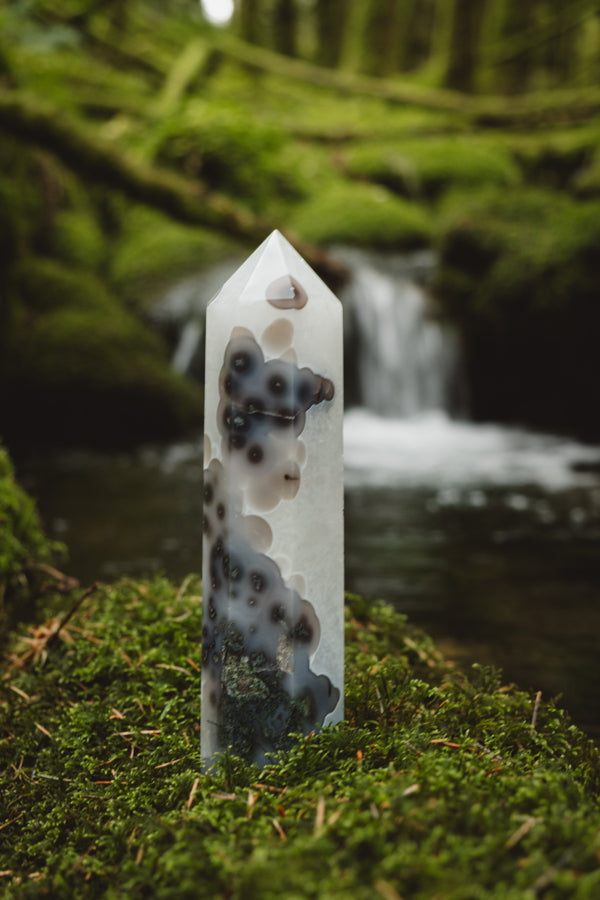 Moss Agate and Quartz crystal point, Rare find.