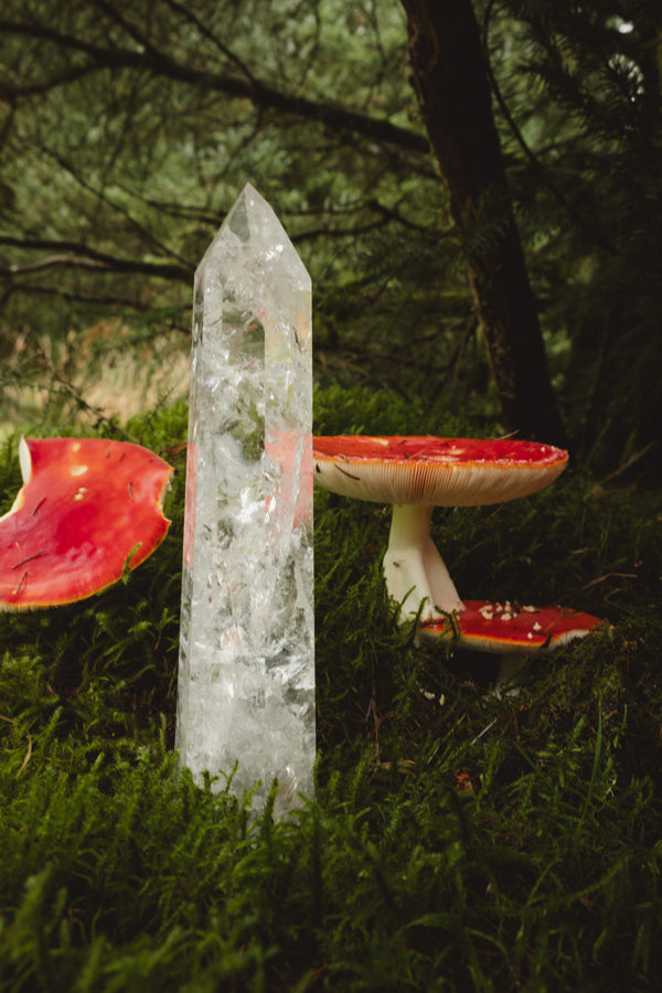 Lemurian Quartz Points, Polished Crystal, Exceptional Clarity, Rainbows, Inclusions, Intuitively Chosen High Vibration Stone