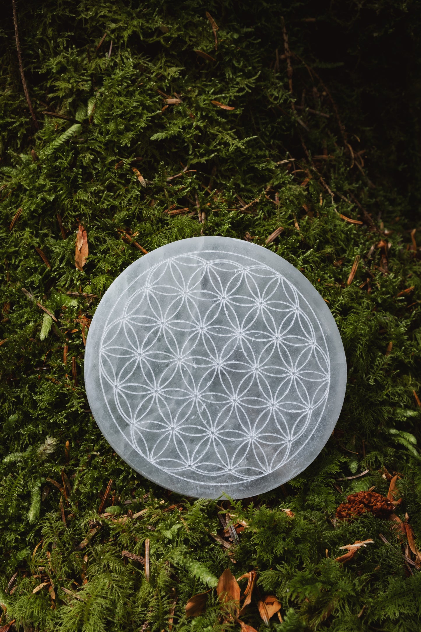 Selenite Flower of Life Crystal charging plate, Purifying and cleansing crystal, Sacred Symbol crystal