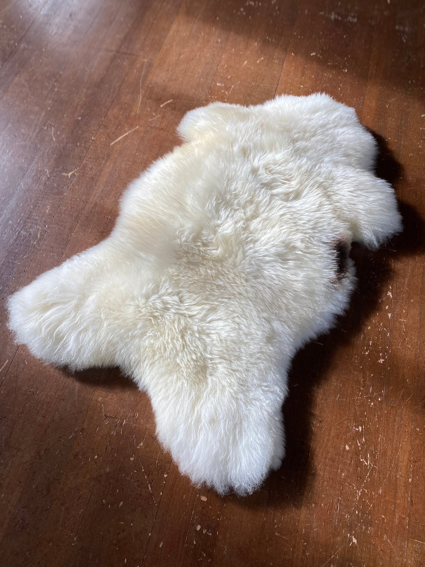 Herdwick Sheepskin Rug, Extra Large Sheepskin, Rare Breed Rug, Heritage sheepskin, British sheepskin rug