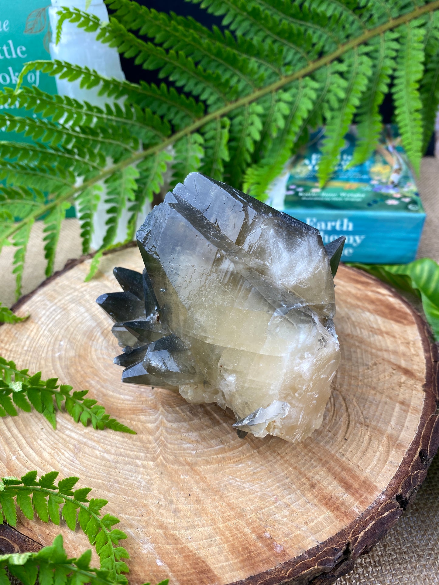 Stellar Beam Calcite crystal, Rare form of calcite, Dog tooth calcite, Manifestation, Higher knowledge