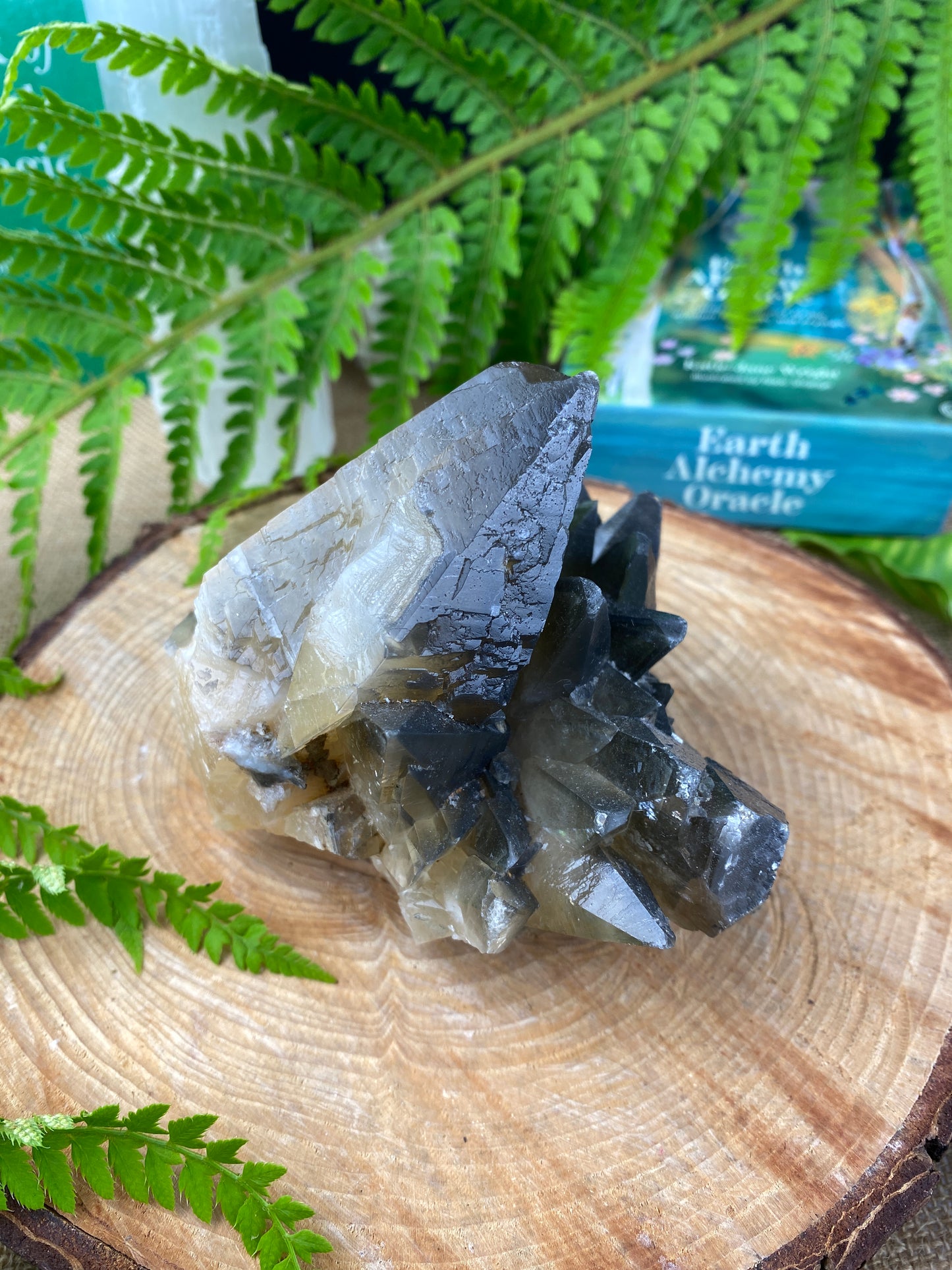 Stellar Beam Calcite crystal, Rare form of calcite, Dog tooth calcite, Manifestation, Higher knowledge