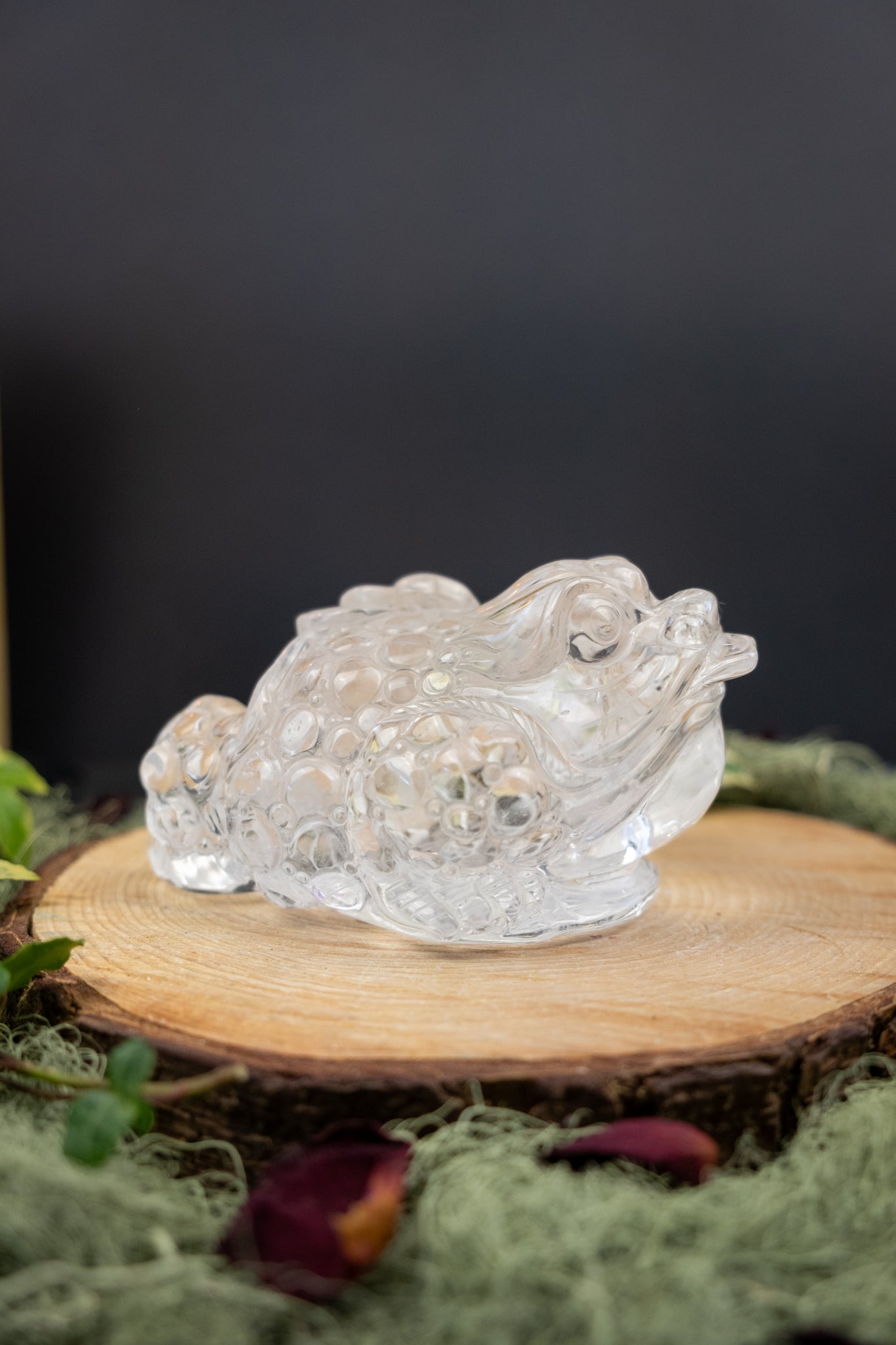 Clear Quartz Money Frog Hand Carved Brazil High Grade Abundance Crystal Wealth Symbol Exceptional Clarity Collector Piece