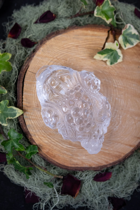 Clear Quartz Money Frog Hand Carved Brazil High Grade Abundance Crystal Wealth Symbol Exceptional Clarity Collector Piece