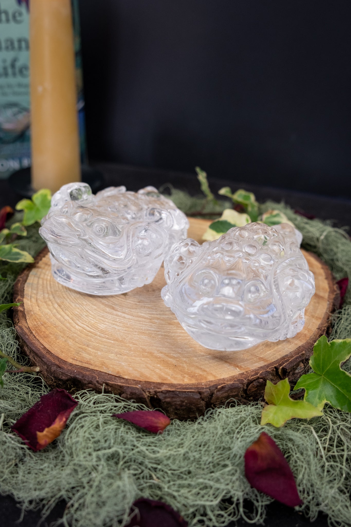 Clear Quartz Money Frog Hand Carved Brazil High Grade Abundance Crystal Wealth Symbol Exceptional Clarity Collector Piece